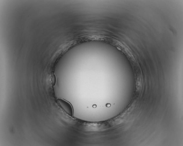 X0000111190473200907081259