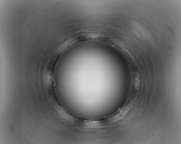 X0000111190476200907081300