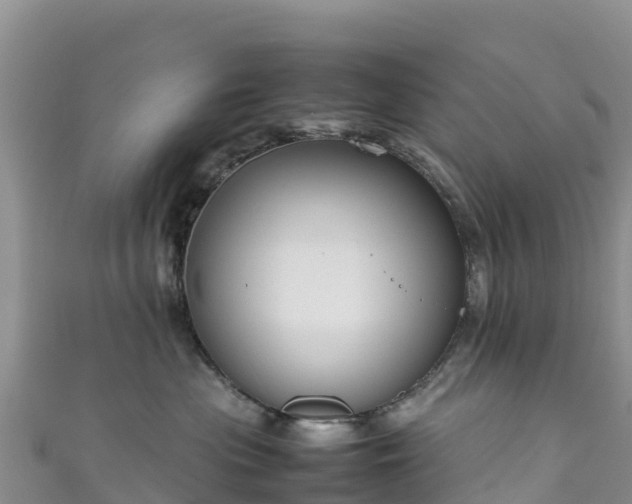 X0000111190477200907081300