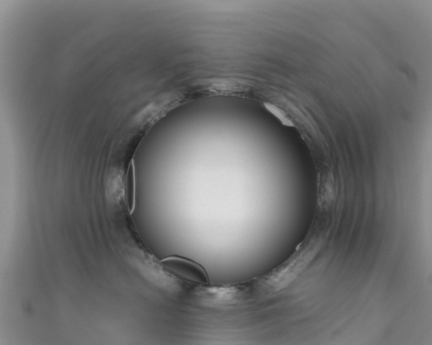 X0000111190478200907081300