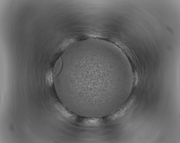 X0000111190479200907081300