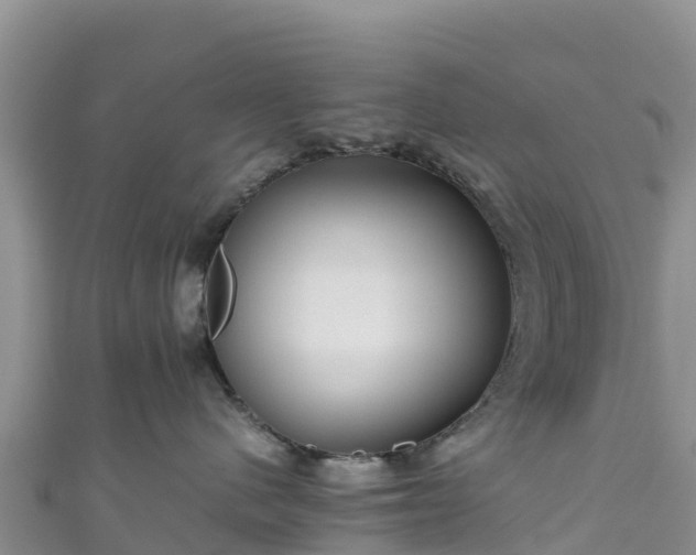 X0000111190480200907081300