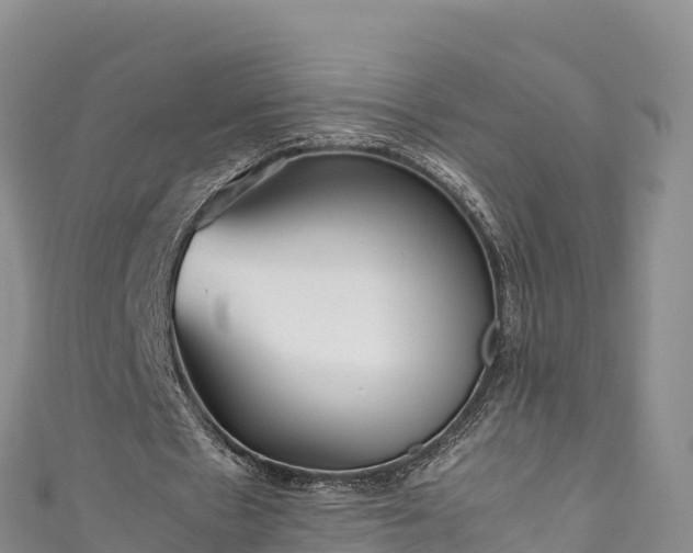 X0000111190481200907081259