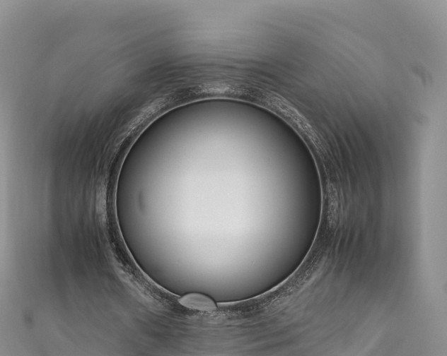 X0000111190482200907081259