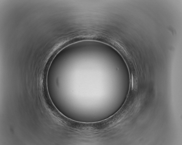 X0000111190483200907081259