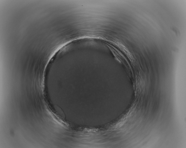 X0000111190484200907081259