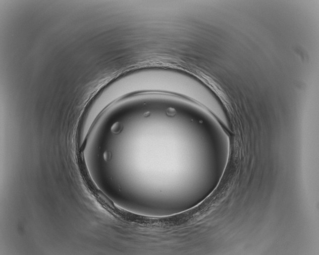 X0000111190485200907081259