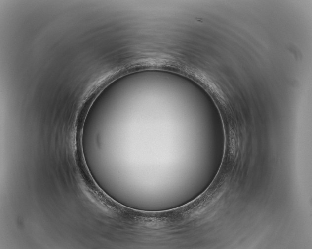 X0000111190486200907081259