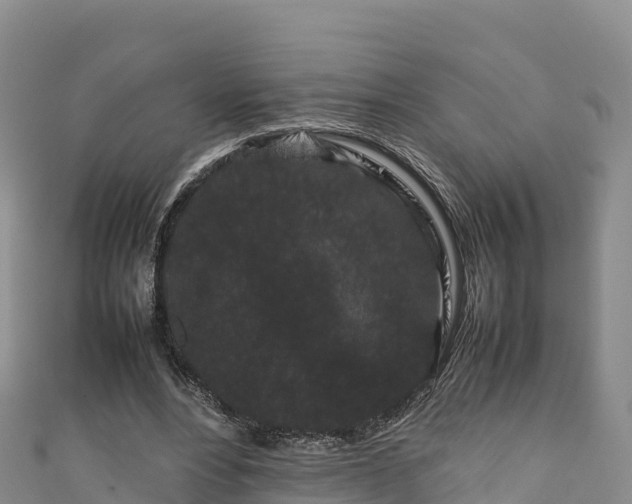 X0000111190488200907081259