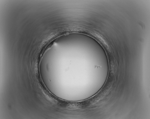 X0000111190489200907081259