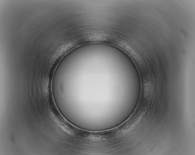 X0000111190490200907081259