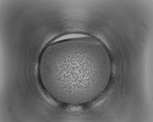 X0000111190491200907081259