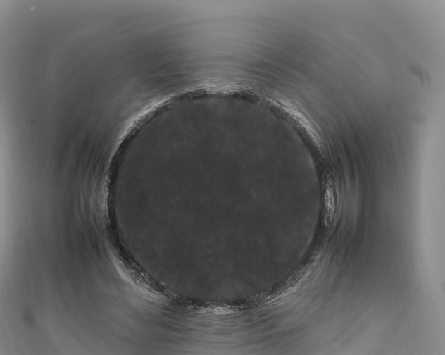 X0000111190492200907081259