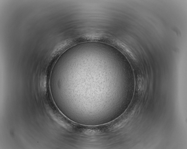 X0000111190494200907081259