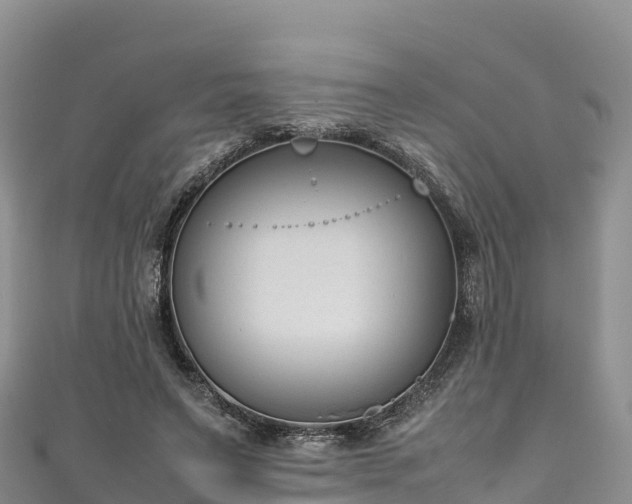 X0000111190495200907081259