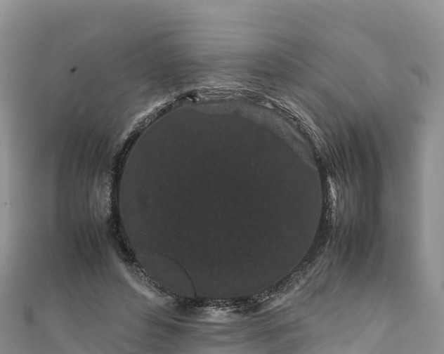 X0000111190496200907081259