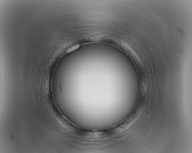 X0000111190497200907081259