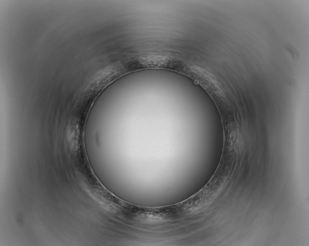 X0000111190498200907081259