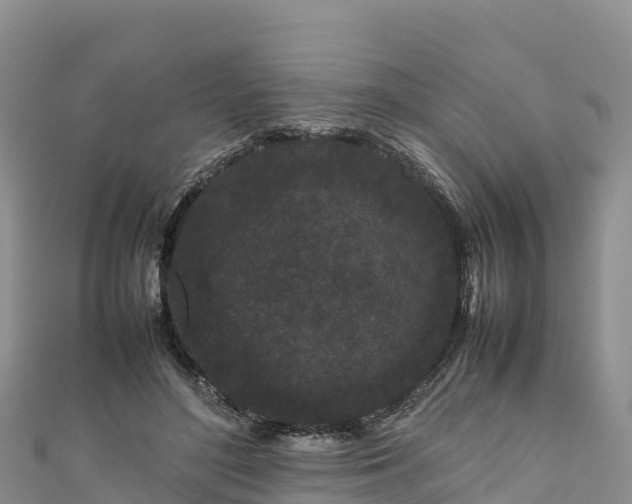 X0000111190500200907081259