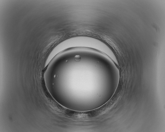 X0000111190501200907081259