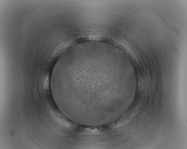 X0000111190502200907081259