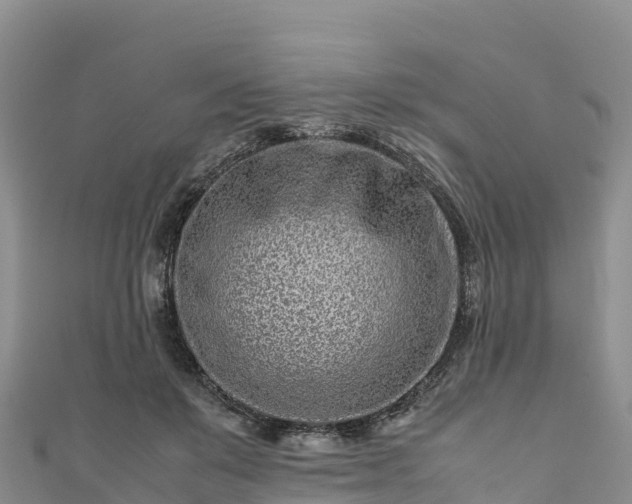 X0000111190503200907081259