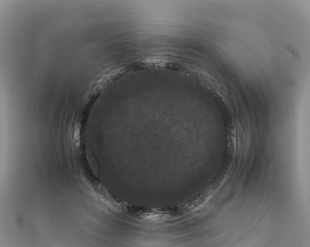 X0000111190504200907081259