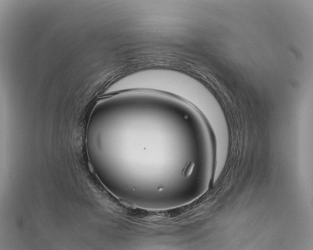 X0000111190505200907081259