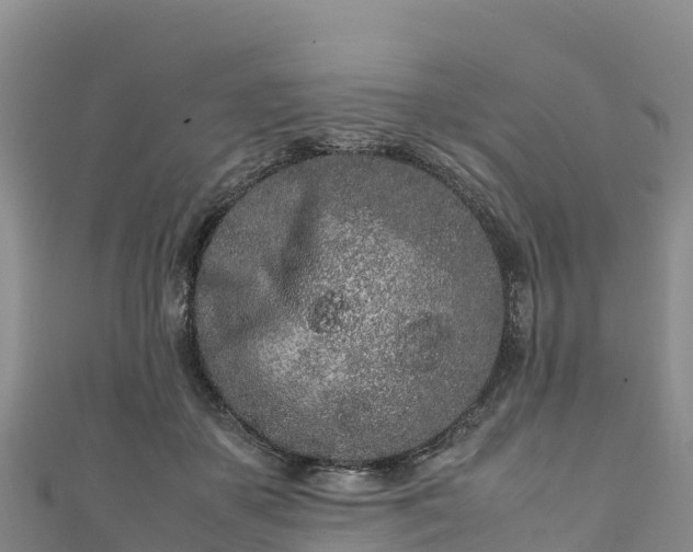 X0000111190507200907081259