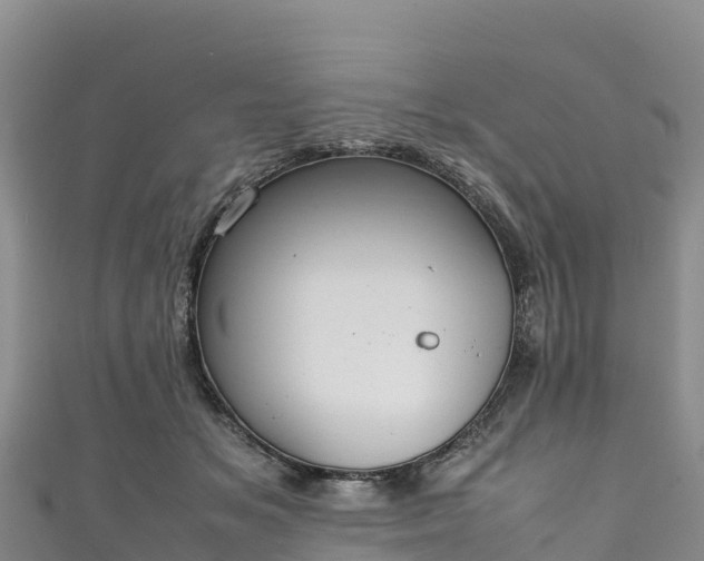 X0000111190509200907081259