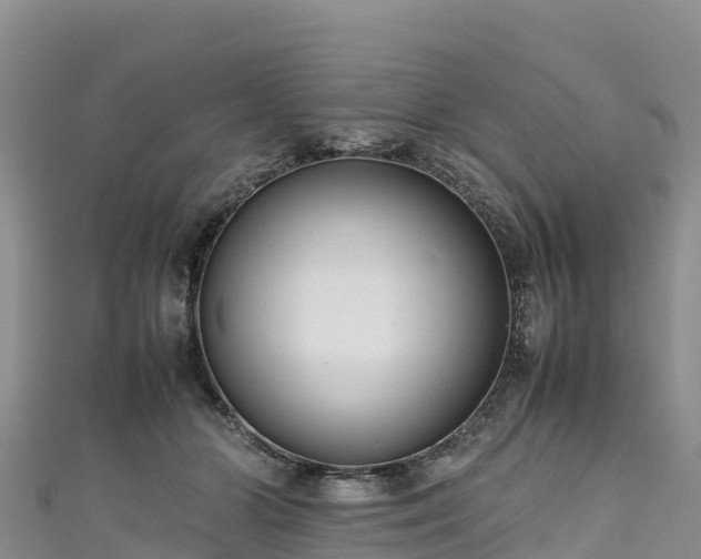 X0000111190510200907081259