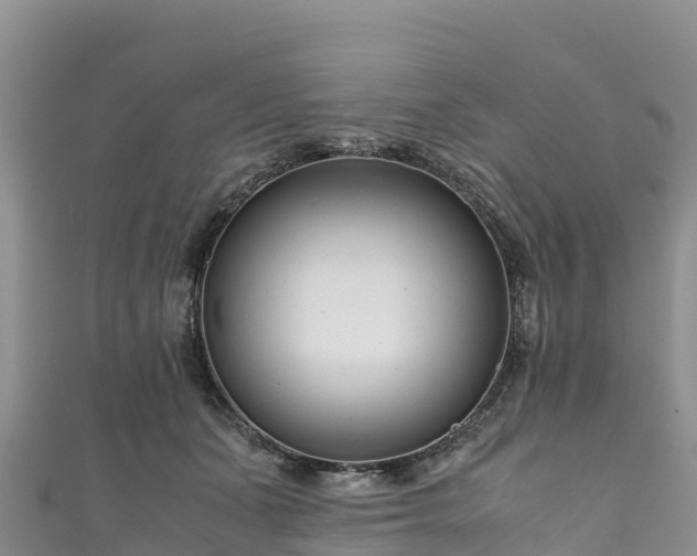 X0000111190511200907081259