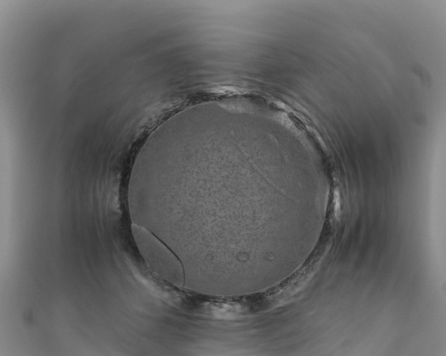 X0000111190512200907081259