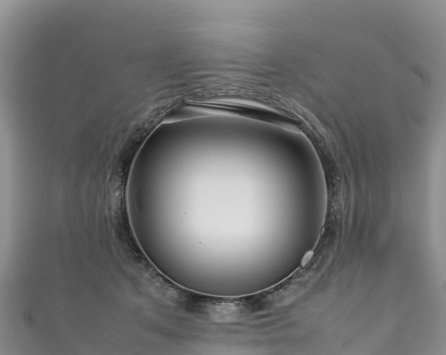 X0000111190513200907081259