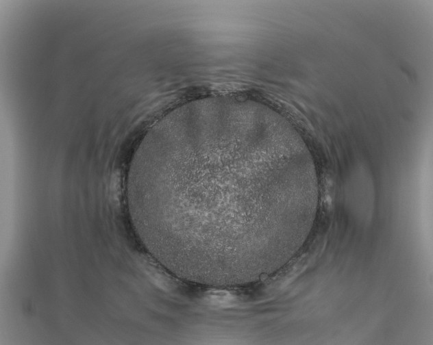 X0000111190519200907081258