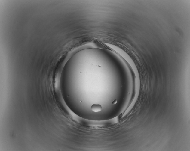 X0000111190520200907081258