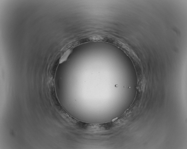 X0000111190521200907081258