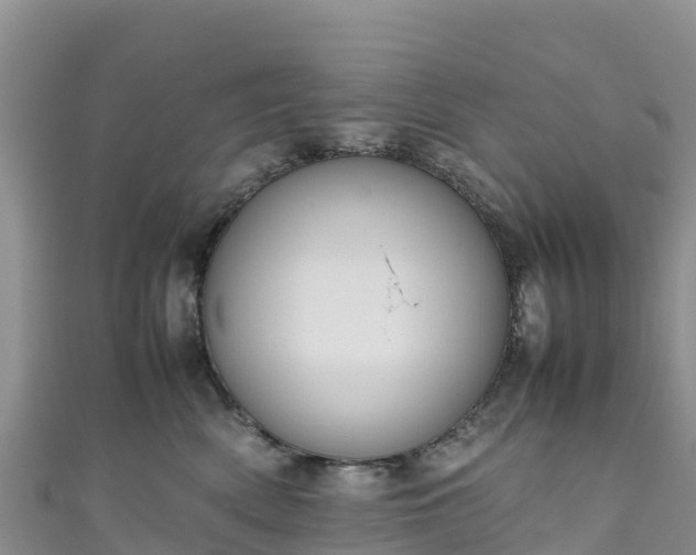 X0000111190522200907081258