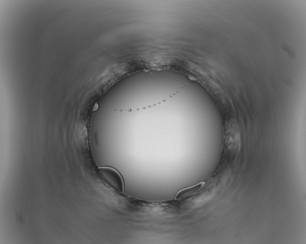 X0000111190523200907081258