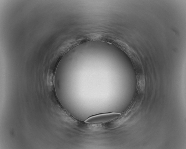 X0000111190525200907081258