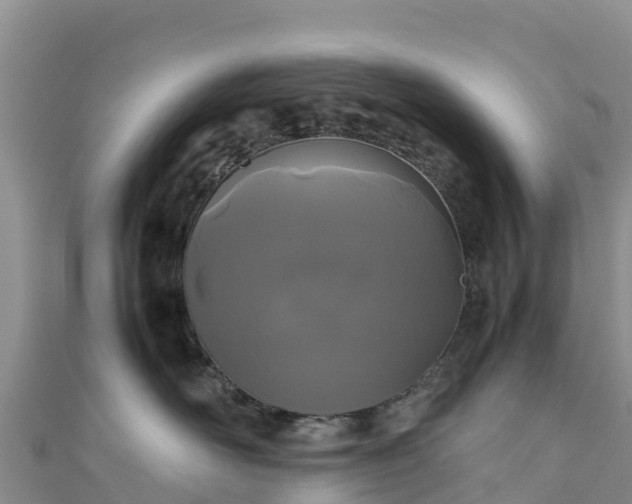 X0000111190526200907081258