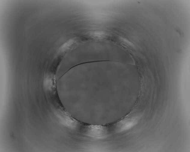 X0000111190528200907081258