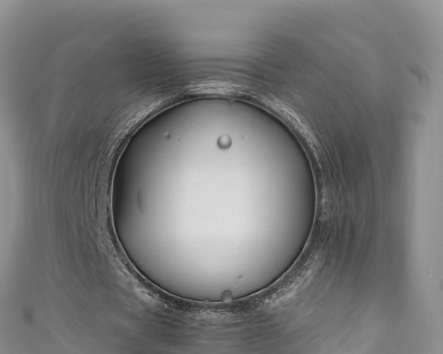 X0000111190529200907081258