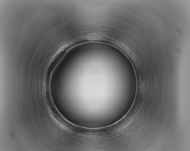 X0000111190530200907081258