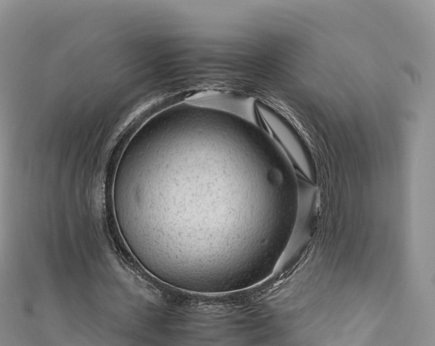 X0000111190531200907081258