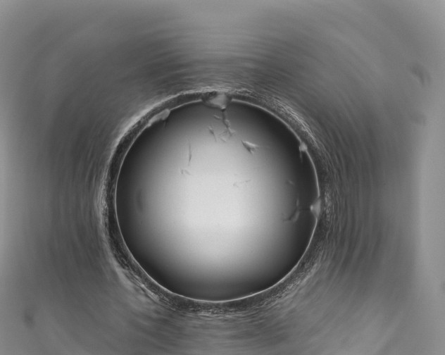 X0000111190532200907081258