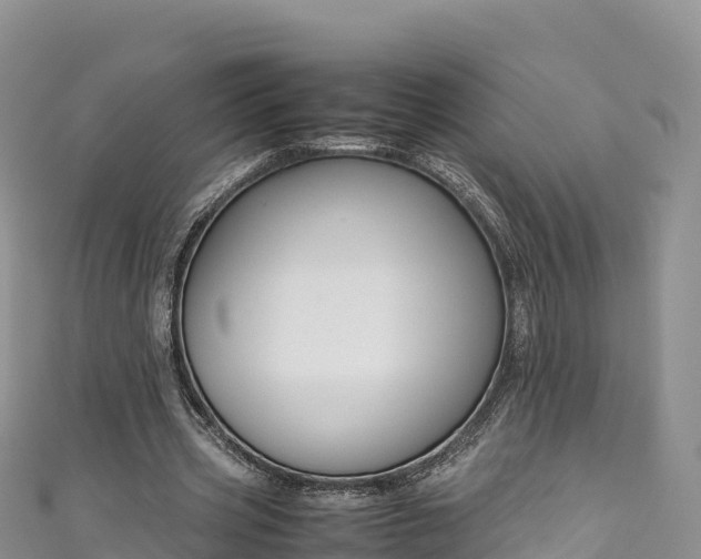 X0000111190533200907081258