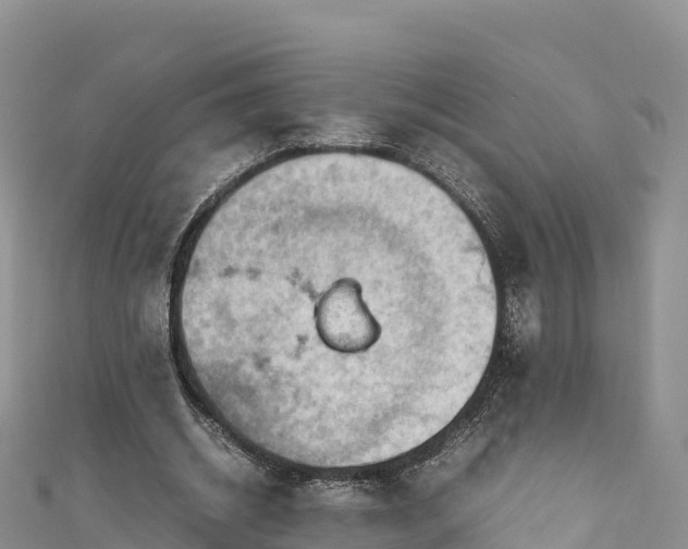 X0000111190534200907081258