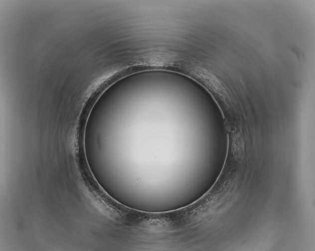 X0000111190536200907081258