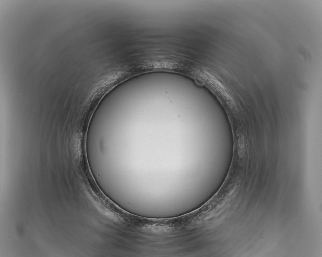 X0000111190537200907081258